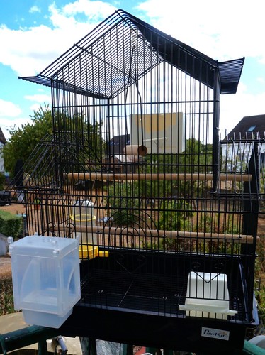 Cage oiseaux pawhut - cage,