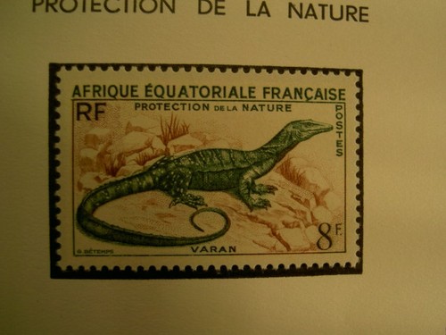 Aef 231 varan en 1955 - varan,