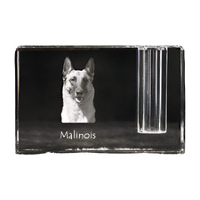 Malinois Belge Chien de Berger