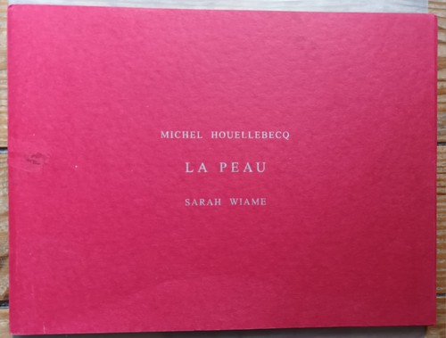 Michel houellebecq sarah - michel,