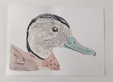 Duck Ringed Teal ORIGINAL WATERCOLOR Bird Portrait River Painting