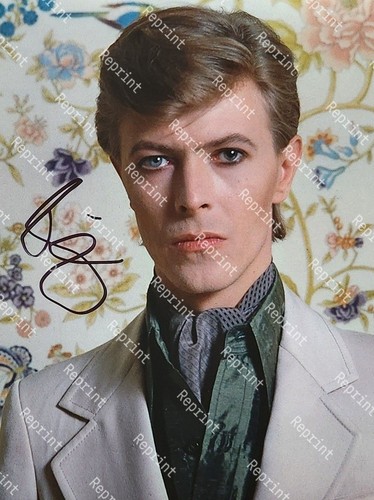 David bowie photo - bowie,
