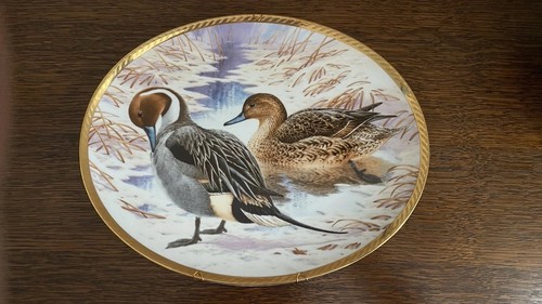 Assiettes collection canard - de,