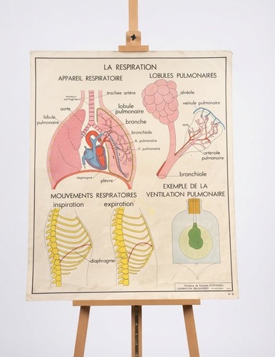 Affiche scolaire ancienne