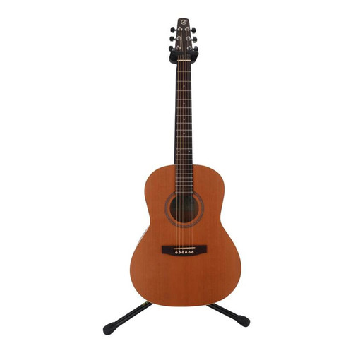 Guitare acoustique seagal - guitare,