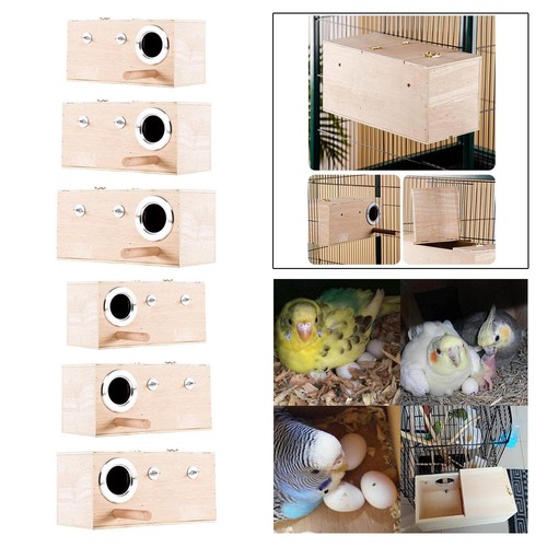 Nid oiseau nidification - nid,