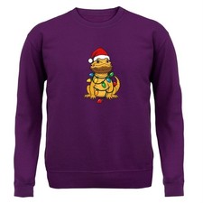 Pogona Noël Lumières -