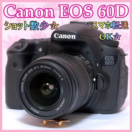 Appareil photo reflex
