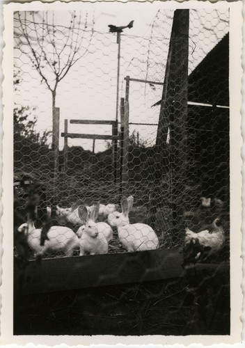 Photo ancienne vintage - photo,