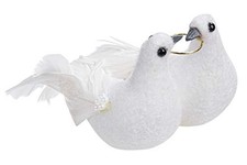 Mariage Colombes Paire avec