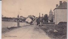 🦬Carte Postale / Postcard /