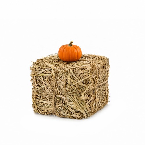Pjt decorative hay bale - decorative, bale,
