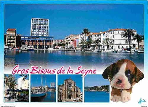 Carte postale animaux - carte,