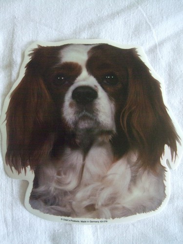 Grand autocollant motif - ,
