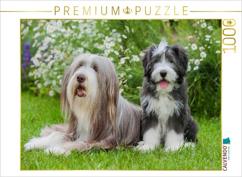 Calvendo puzzle bearded collie - puzzle,