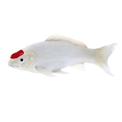 Mojo farmland koi karper - mojo,