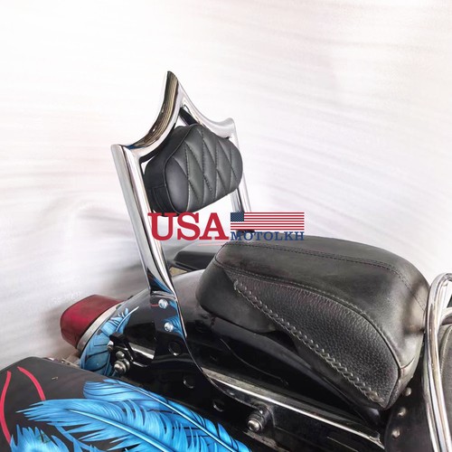 4 passenger sissy bar - 1,