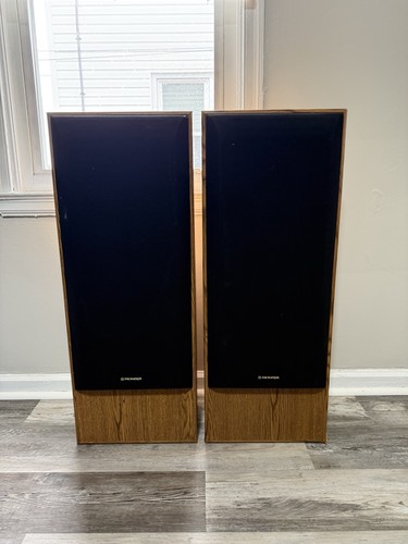 Pair vintage pioneer - of,