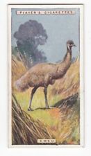 EMEU Vintage 1924 Wildlife Painting Tobacco Card