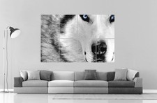 siberian husky Husky sibérien Wall Art Poster Grand format A0 Large Print
