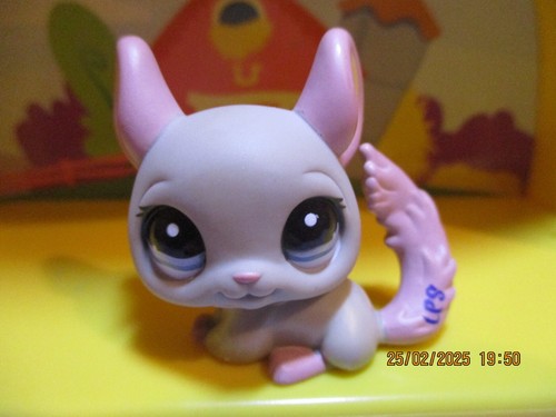 Petshop chinchilla 1165 - petshop, #1165