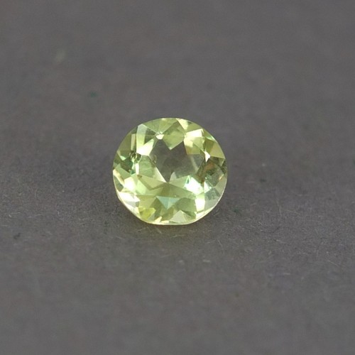 Shola véritable ct - shola, 0,94