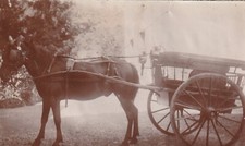 AA495 photo originale ancienne