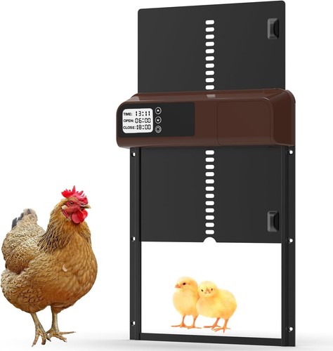 Porte automatique pour - porte,