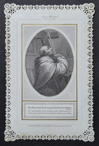 Saint bernard letaille - bernard,