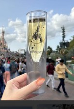 1 Disney Château Disneyland Paris Champagne Flute 