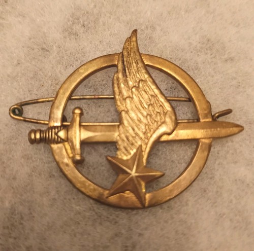 Ancien insigne béret des - insigne,