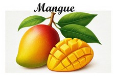 Mangue  12 Etiquettes vinyle conserve fruit légume confiture gelée fait maison