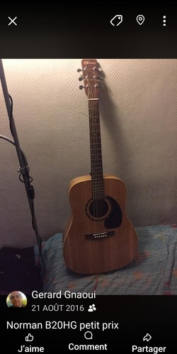 Norman b20hg guitare - norman,