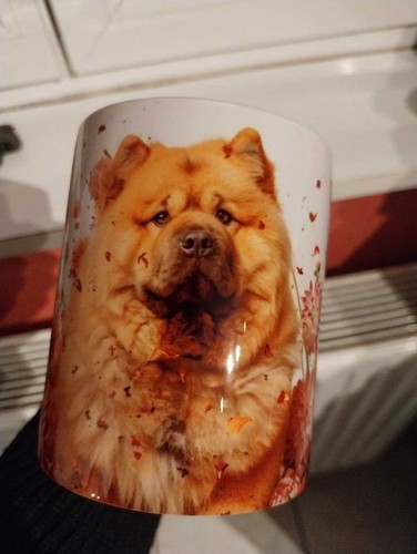 Mug chow chien - mug, chow-chow,