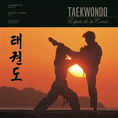 Taekwondo esprit de la - l'esprit,