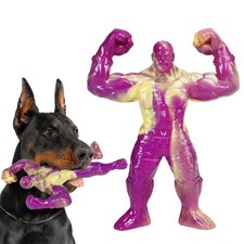 Jouet Chien Nylon Résistant
