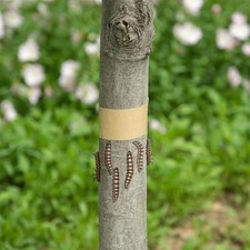 Ruban de protection pour