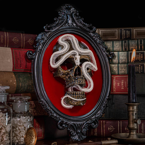 Squelette serpent - de,