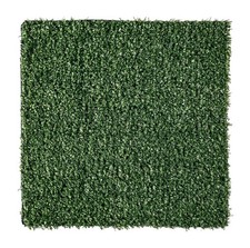 Gazon Synthétique 7 Mm 2X10 M