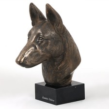 Malinois Belge Berger Allemand