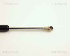 VéRIN DE CAPOT RENAULT 25