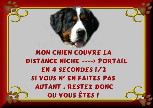 Plaque garde bouvier - de,