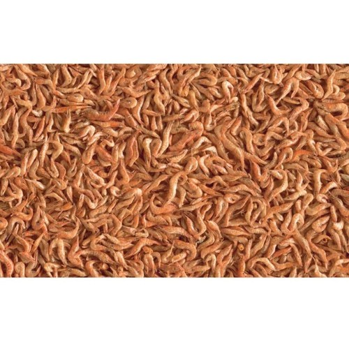 Crevettes entières séchés