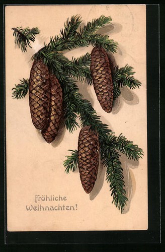 Carte postale gaufrée branche