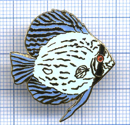 Pins tablo poisson - tablo,