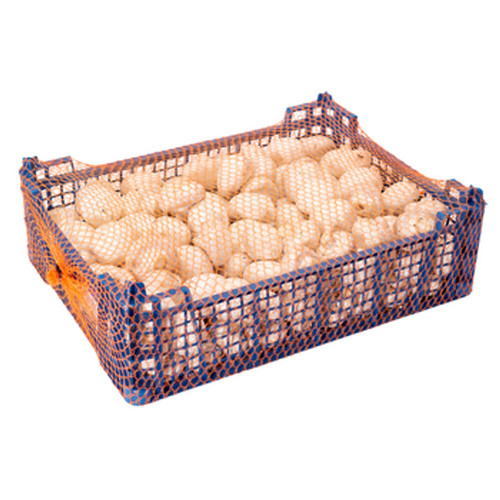 5907561915789 pieczarka horeca - 5907561915789,