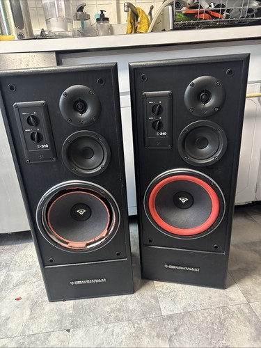 Cerwin vega 310 need - vega, repair