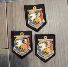 Écusson Sapeurs-Pompiers Du