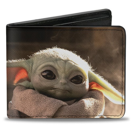 Star wars mandalorien - le,