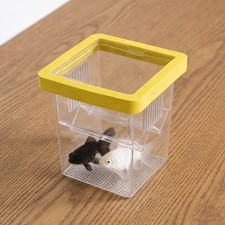 Boîte d'élevage pour